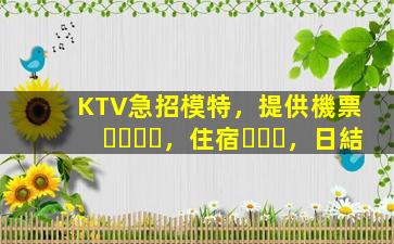 KTV急招模特，提供機票，住宿，日結